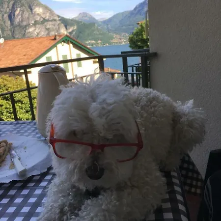 Διαμέρισμα Look Out & Dream Μπελάτζιο