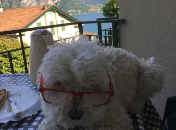 Apartament Look Out & Dream Bellagio